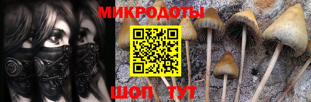 МЕТАМФЕТАМИН Печора