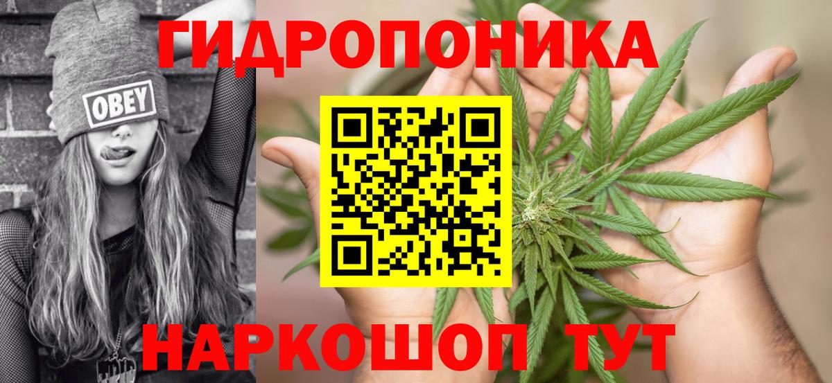 Бошки марихуана конопля Печора